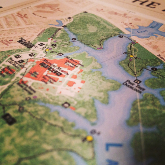 tumblr_momcilk5lh1qfw9vbo1_540